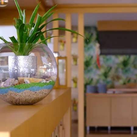 호텔 Bora Bora Butik 알란야