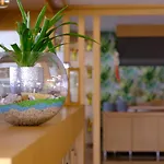 Hotel Bora Bora Butik Alanya
