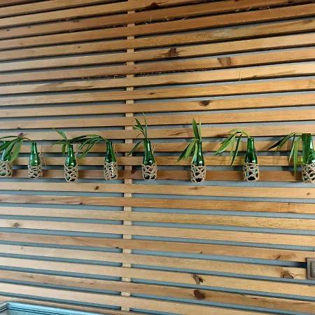 호텔 Bora Bora Butik 알란야